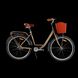 Велосипед Titan Valencia 2021 26" 18" Коричневый 26TWCT21-004727 фото